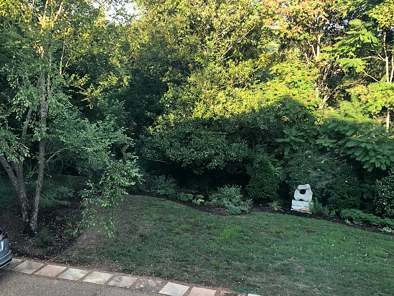 Side lawn view from bay window in the kitchen eating area