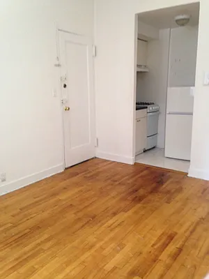 Rented by Manhattan Apartment Organization | media 6