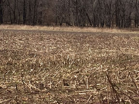 4th image of 447 N Cr #1600