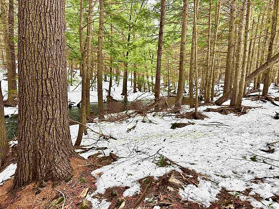 5th image of 336 Old Jaffrey Road Lot R3-12-2