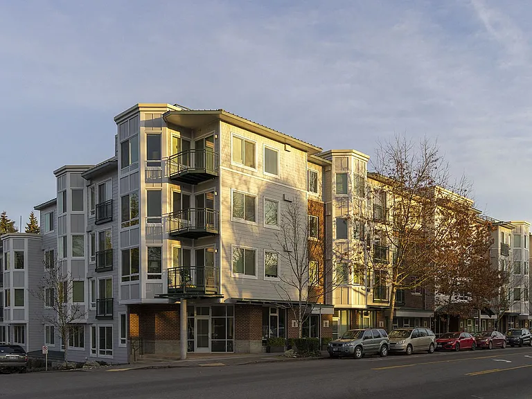 Jasper — Photo 20