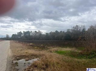 Whippoorwill Rd, Effingham, SC 29541