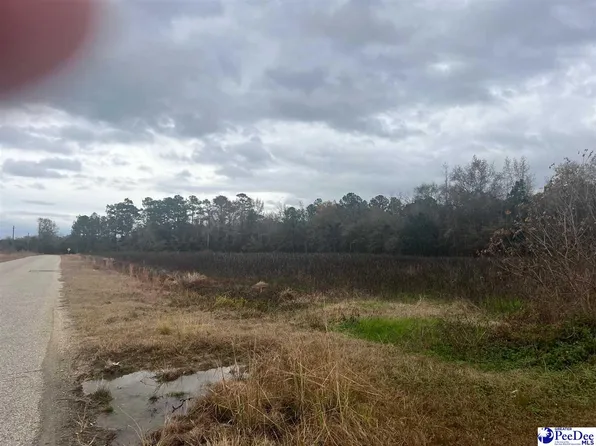 Whippoorwill Rd, Effingham, SC 29541