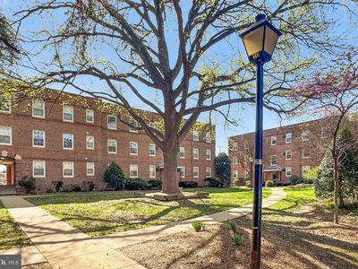 726 S Fayette St APT 21, Alexandria, VA, 22314