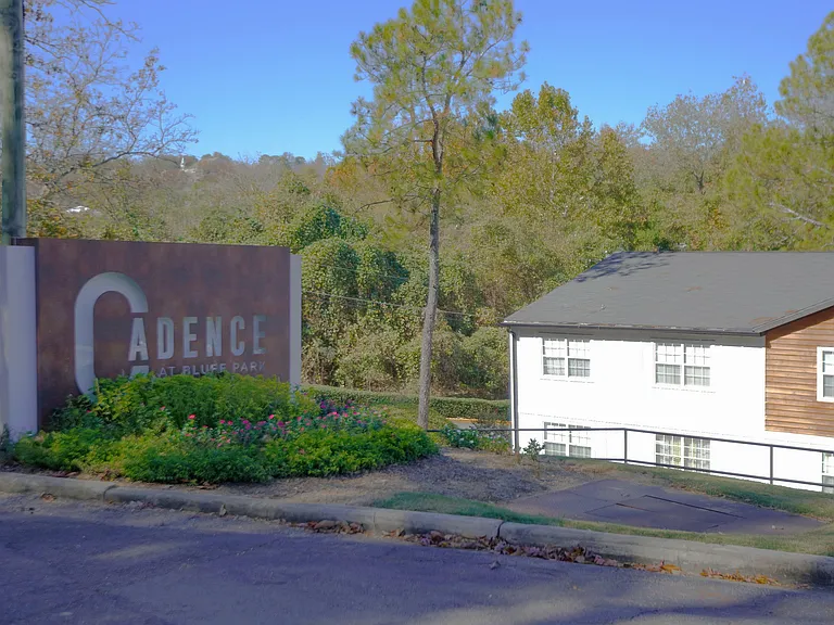 Cadence at Bluff Park — Photo 12