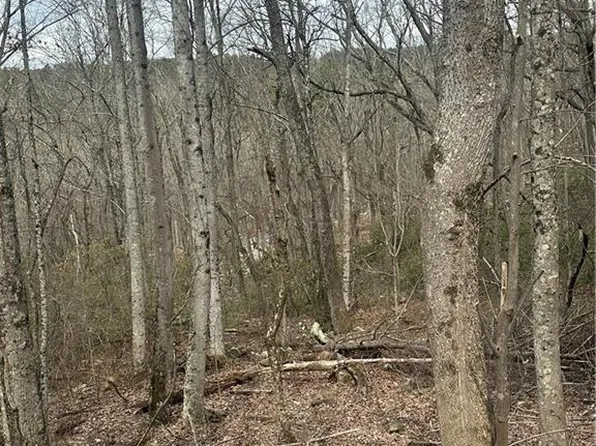 0 Mulberry Ln #148, Jasper, GA 30143