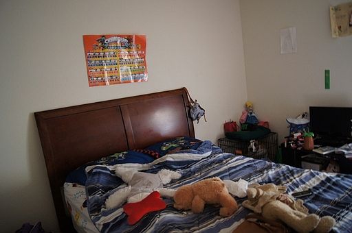 5th image of 1539 Limetree Ln