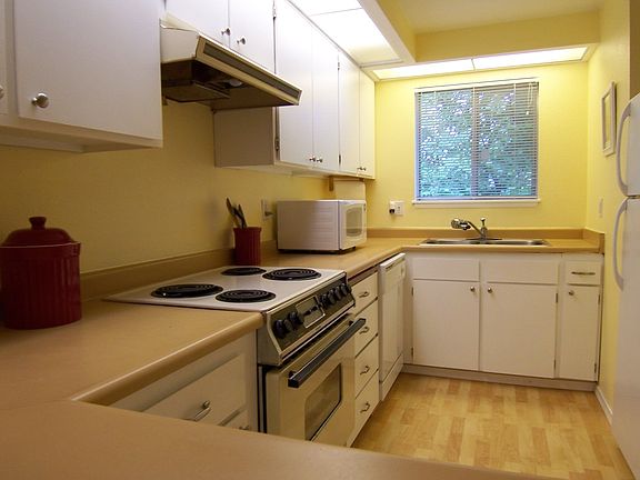 Large Kitchen