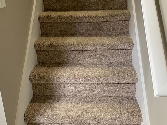 Freshly carpeted stairs and bedrooms