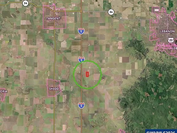 4th image of Ta 285979 Morgan Dr
