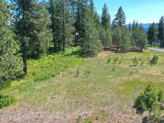 4th image of L185 S Basalt Dr