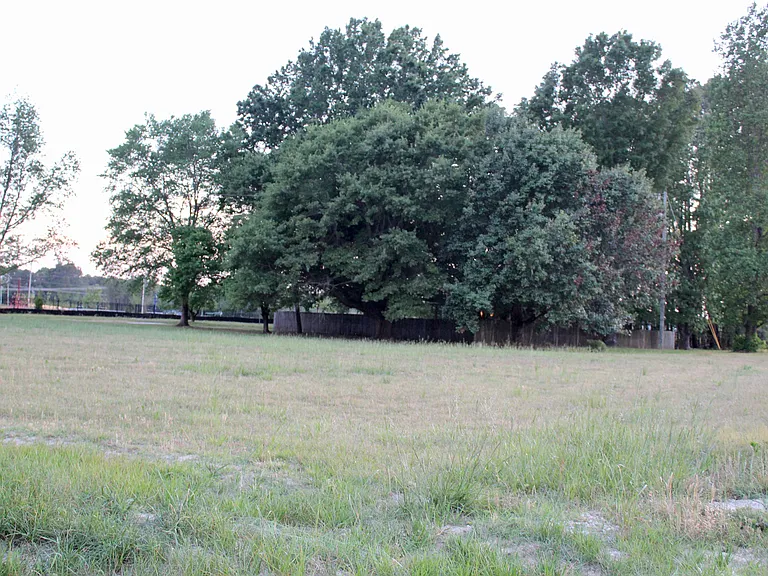 528 Mailman Rd — Photo 59