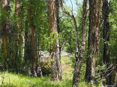 18290 County Road 162 LOT 10 & 11, Nathrop, CO, 81236