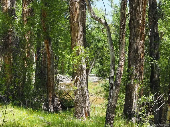18290 County Road 162 LOT 10 & 11, Nathrop, CO 81236
