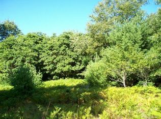 N Ridge Rd, Mears, MI 49436