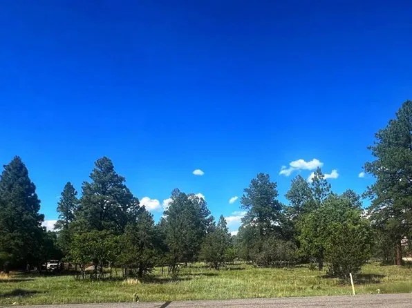 170 Puma Lane, Ridgway, CO 81432