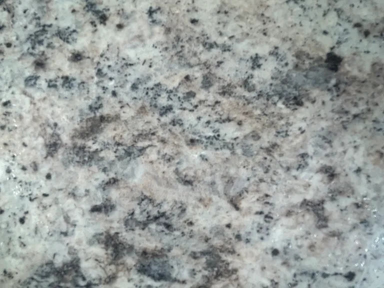 359 Belmont St #3 — Photo 7