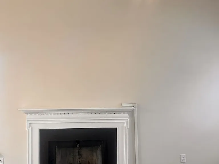 110 Shelby Ct — Photo 10