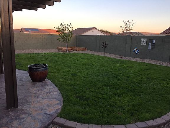 previous real grass