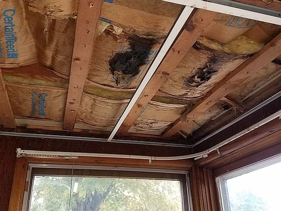 4th image of 412 Plum St