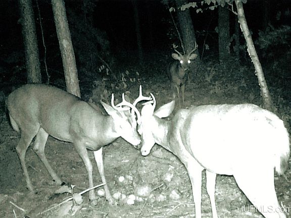 3rd image of Valley Rd