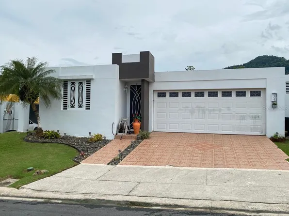 17 Calle Lagos #C, San Lorenzo, PR 00754
