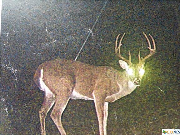 3rd image of 2383 County Road 393