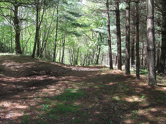 3rd image of Double Pond Ln