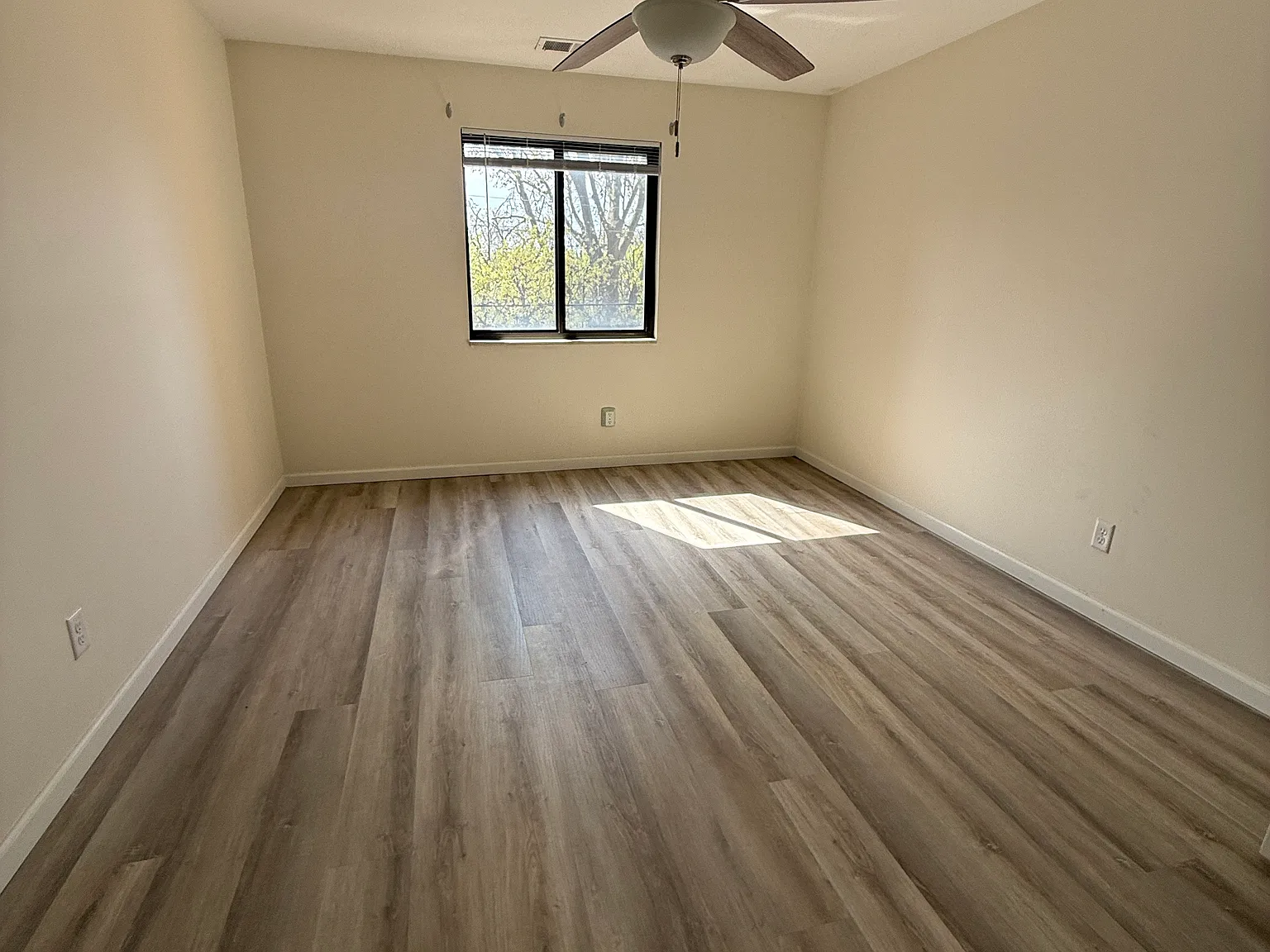 1 bed, 742 sqft, $1,500 — Photo 4
