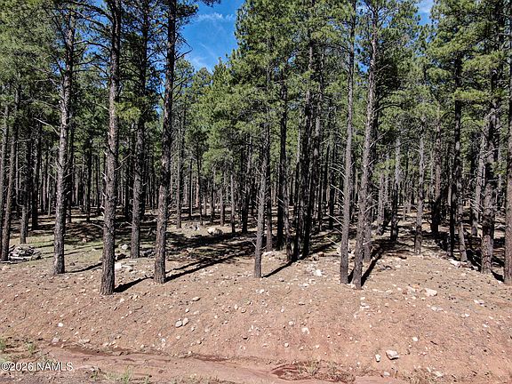 3rd image of 9576 Ranch At The Peaks Way