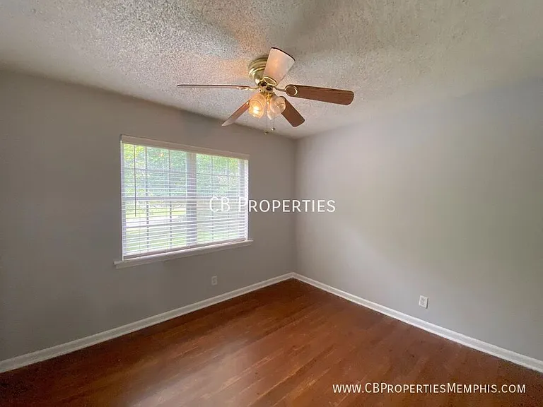 8282 Fayette Cv — Photo 5