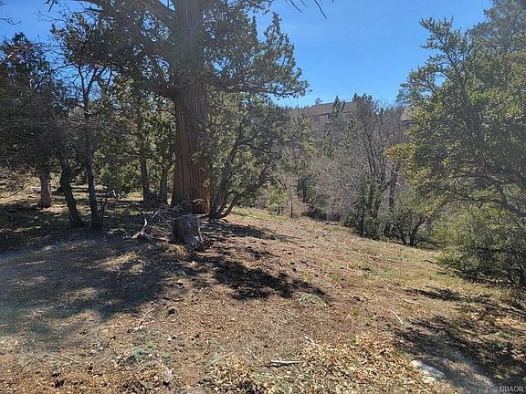 5th image of 1599 Angels Camp Rd