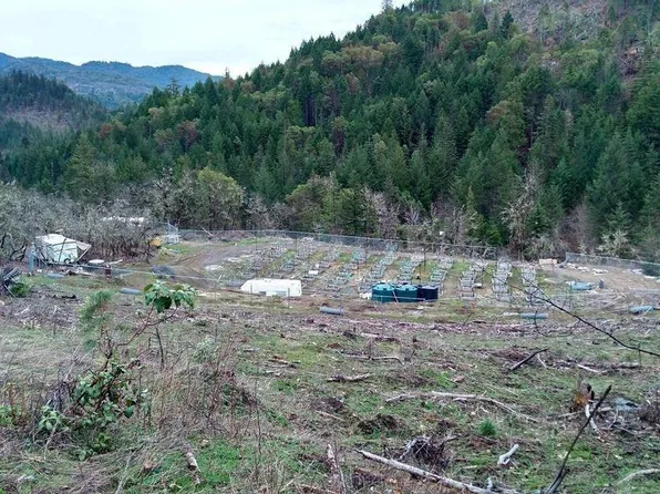 105770 W Fork Trail Creek Rd, Trail, OR 97541