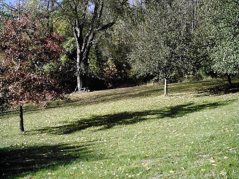 2nd image of 14460 Eldon Dr