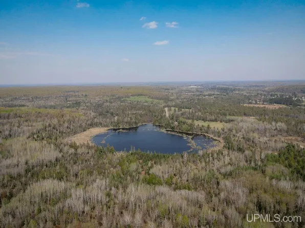 Tbd Parks Farm Rd, Amasa, MI 49903