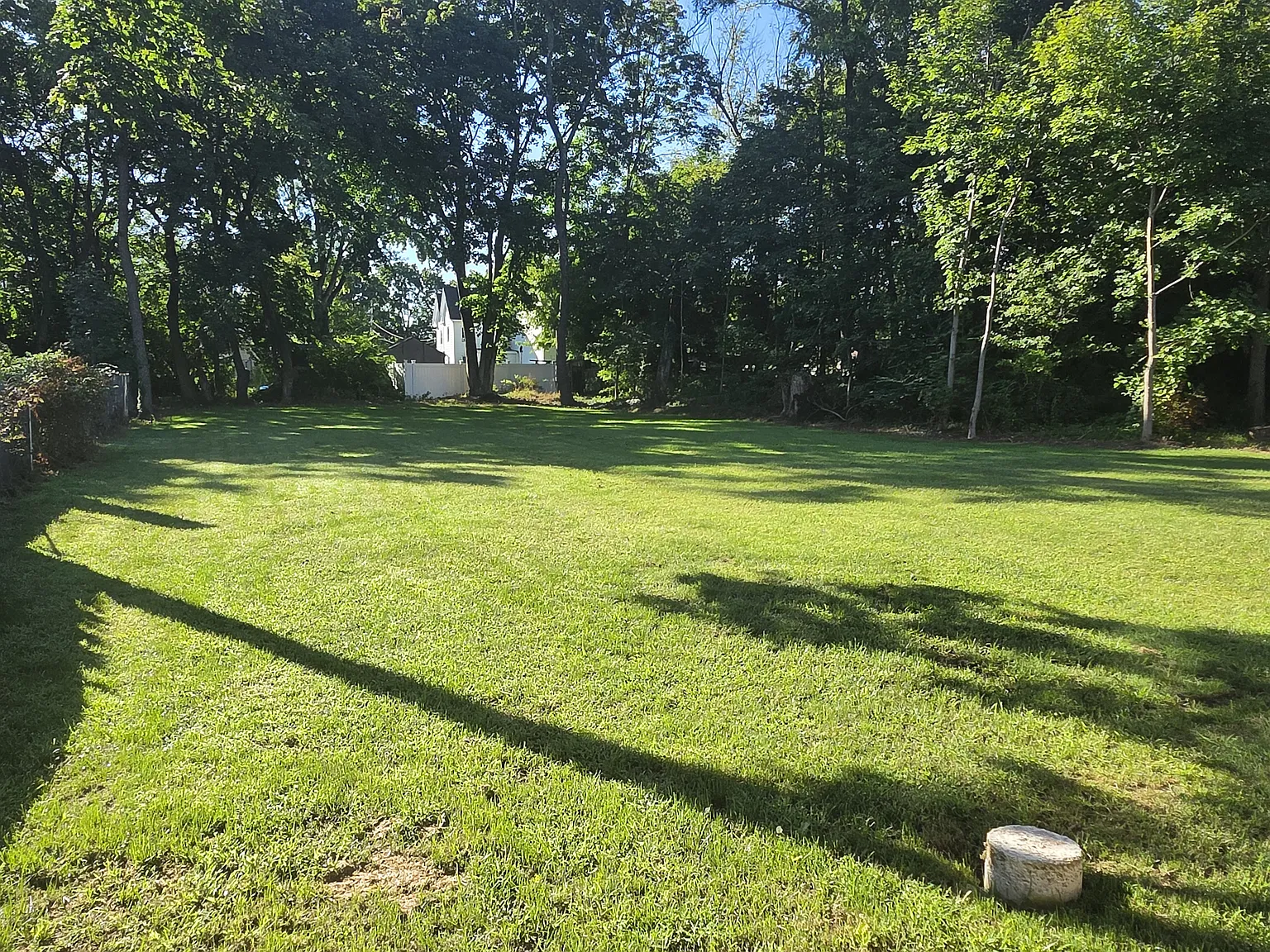 3 bed, 2.5 bath, 1480 sqft, $3,000 — Photo 2