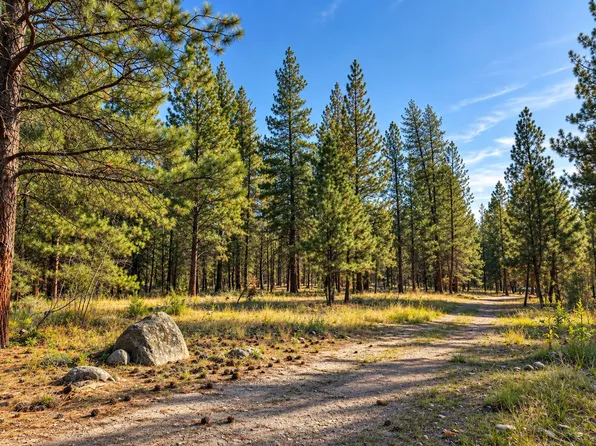 Nhn Holloway Ln, Florence, MT 59833