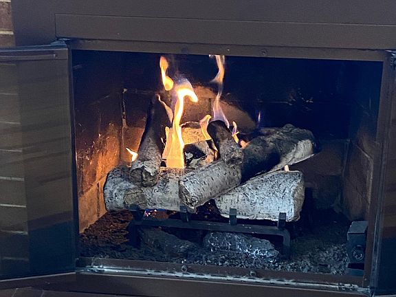 Gas fire on ceramic aspen logs