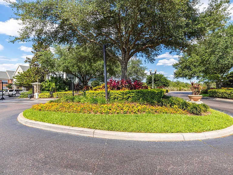Discovery Palms — Photo 15
