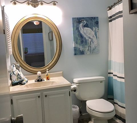 guest/hall bath