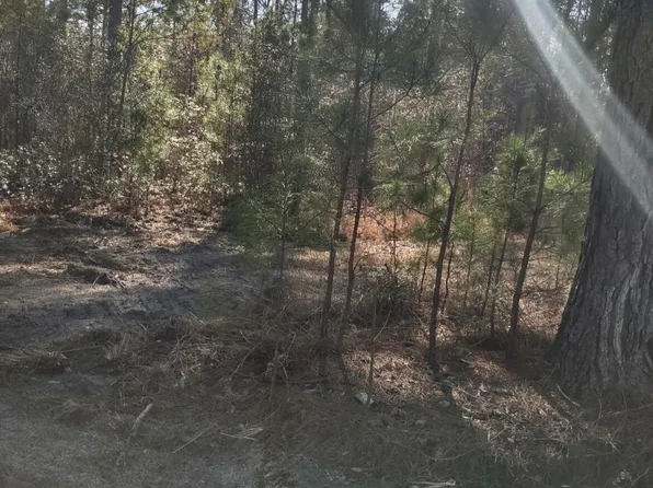 71 Breanna Ct, Cottageville, SC 29435
