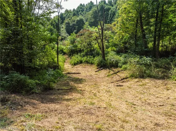 Luneman Rd, Scio, OH 43988