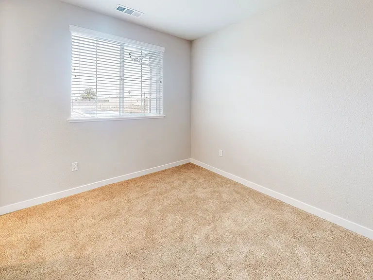 1574 Abundance Way — Photo 13