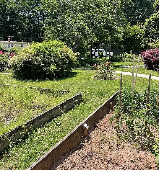 25 White Pine Dr — Photo 8