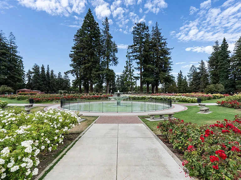 Enjoy the beautiful San Jose Municipal Rose Garden