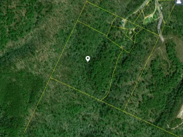 Wilson Rd, Tellico Plains, TN 37385