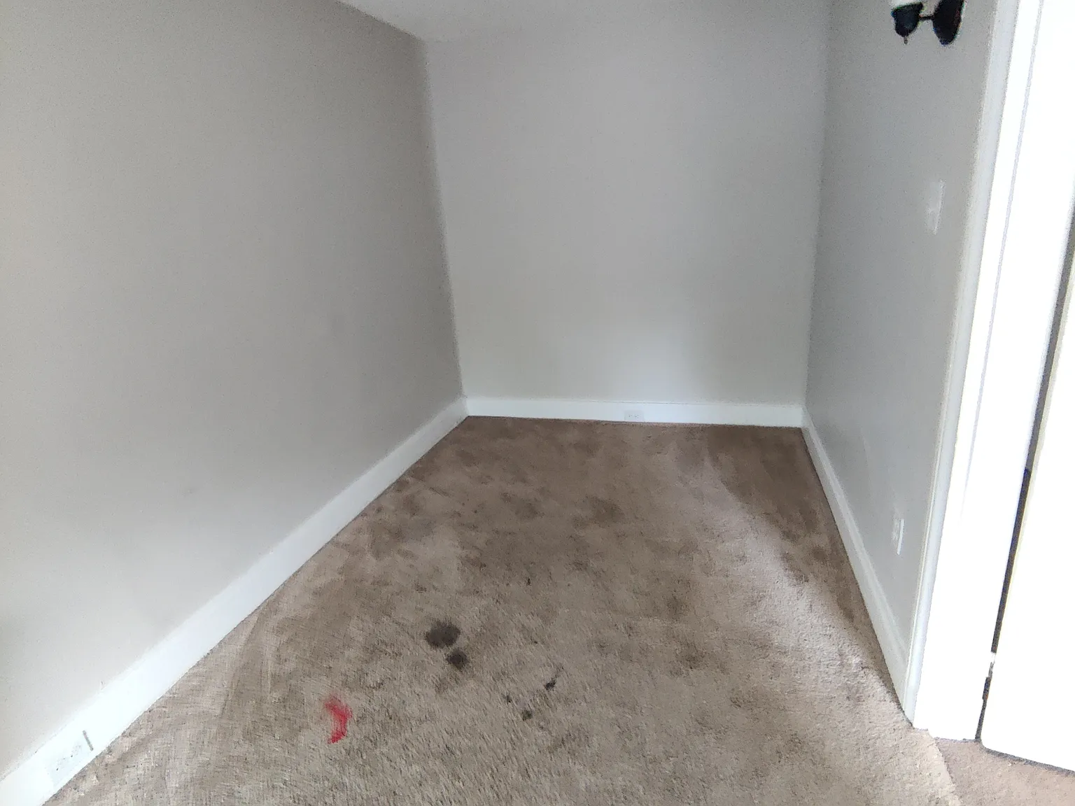 5 bed, 1654 sqft, $2,490 — Photo 4