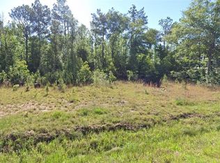 Newt Hodges Rd, Ragley, LA 70657