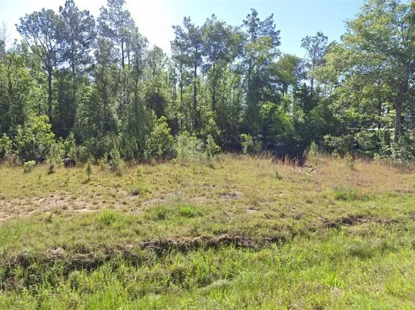 Newt Hodges Rd, Ragley, LA 70657