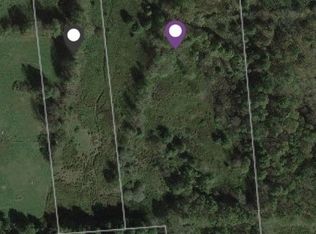 236 Burrows Rd, Unadilla, NY 13849